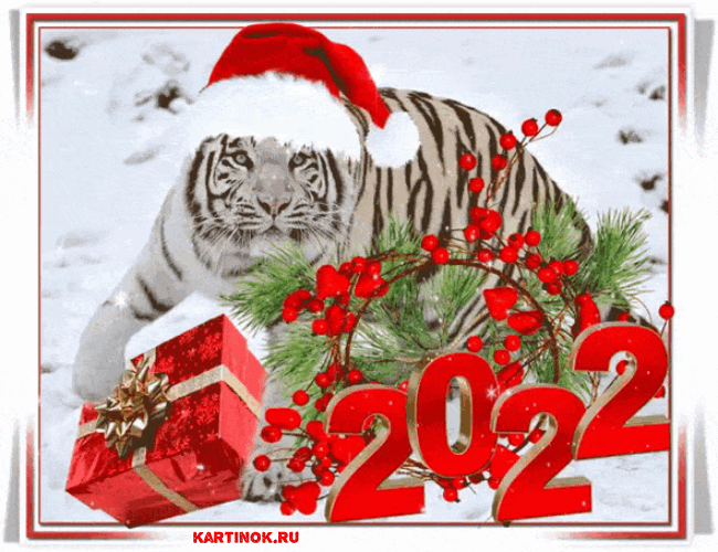 Новогодняя гиф картинка с тигром 2022 - Открытки Тигра 2022