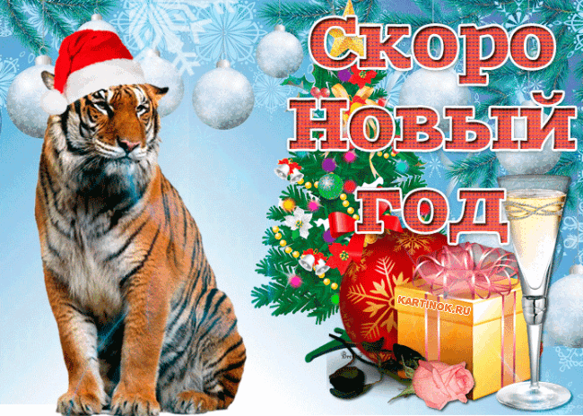 Открытка С Новым тигриным годом