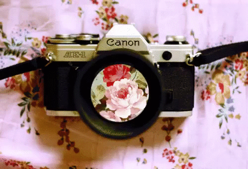 Открытка Фотоаппарат Canon