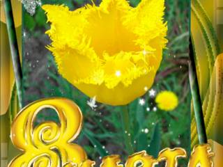 Картинка 8 Марта с желтым тюльпаном