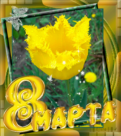 Картинка 8 Марта с желтым тюльпаном