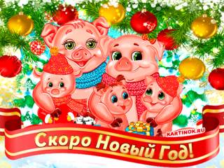 Красивая открытка с наступающим годом свиньи