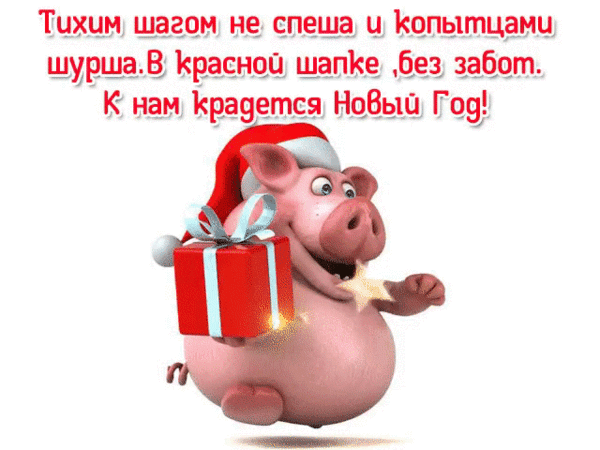Новогодние открытки со свиньей