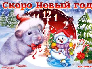 Скоро чудесный праздник новый год Крысы