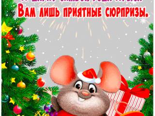 Прикольные картинки с Новым годом Крысы