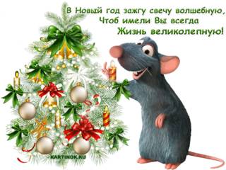 Приятных событий в год крысы
