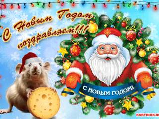 Поздравительная открытка на Новый Год Крысы