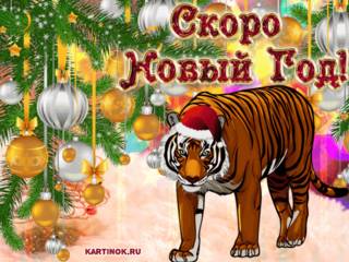 Новый год Тигра к нам идёт