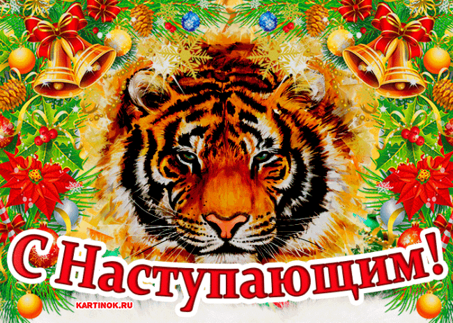 С Новым годом тигра наступающим