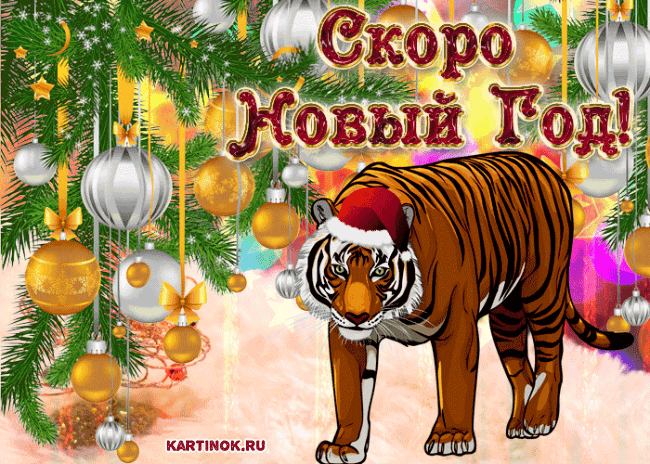 Новый год Тигра к нам идёт