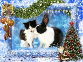 Новогодние открытки с годом кролика и кота