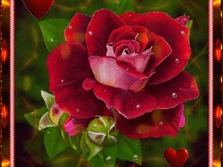 Роза и сердечко